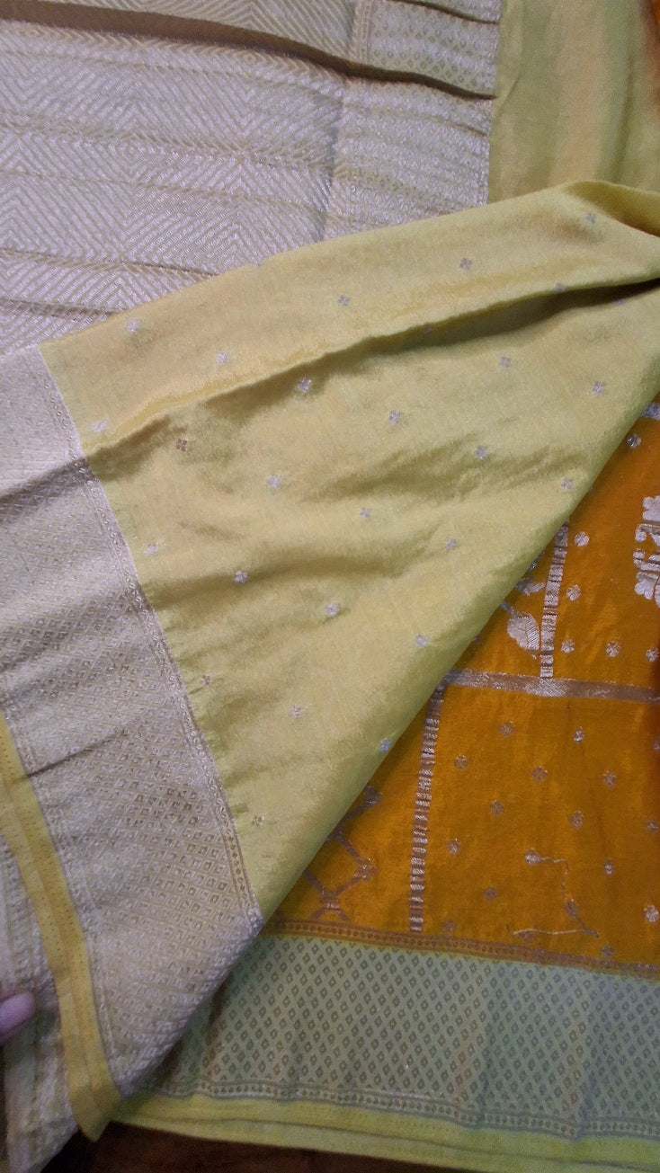 Banarasi Georgette Saree